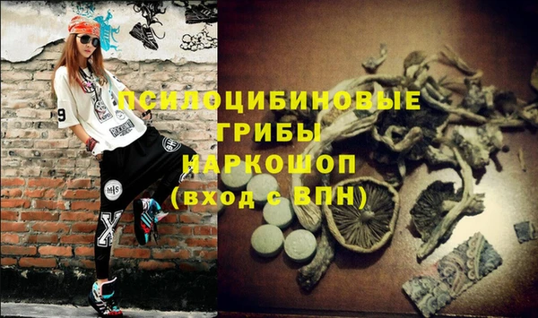 не бодяженный Верея