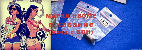 ПСИЛОЦИБИНОВЫЕ ГРИБЫ Верхний Тагил