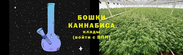 ПСИЛОЦИБИНОВЫЕ ГРИБЫ Верхний Тагил